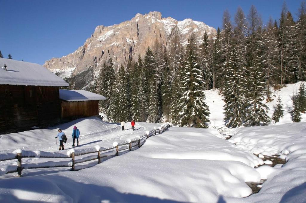 Monti Pallidi B&B Apartments Corvara In Badia Exterior photo